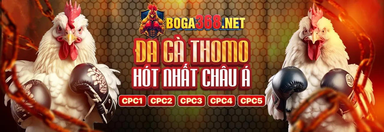 Tổng quan các loại hình khuyến mãi tại Sinbet
